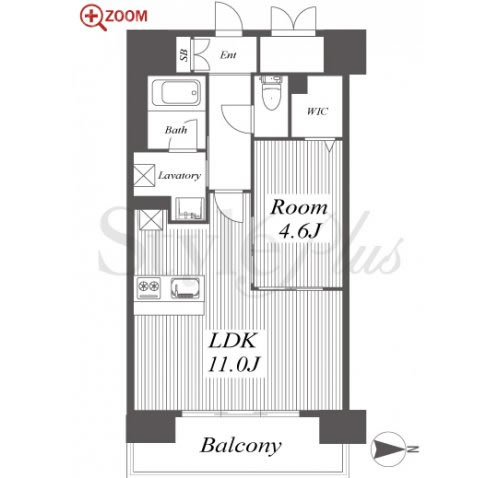 Naviglio　Palazzo 間取り